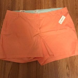 Crown & Ivy Caroline Shorts - Size 24W